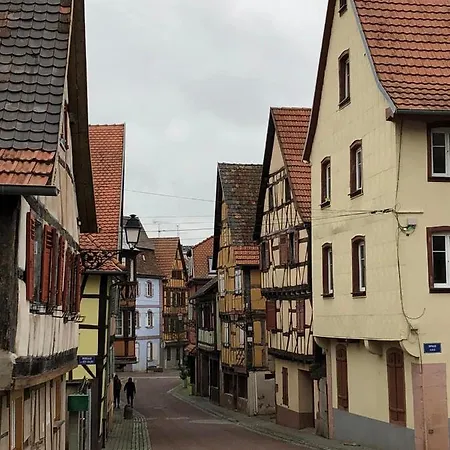 Petit Nid Douillet Ensolleille * Bouxwiller (Bas-Rhin)
